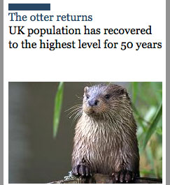 otter2.jpg