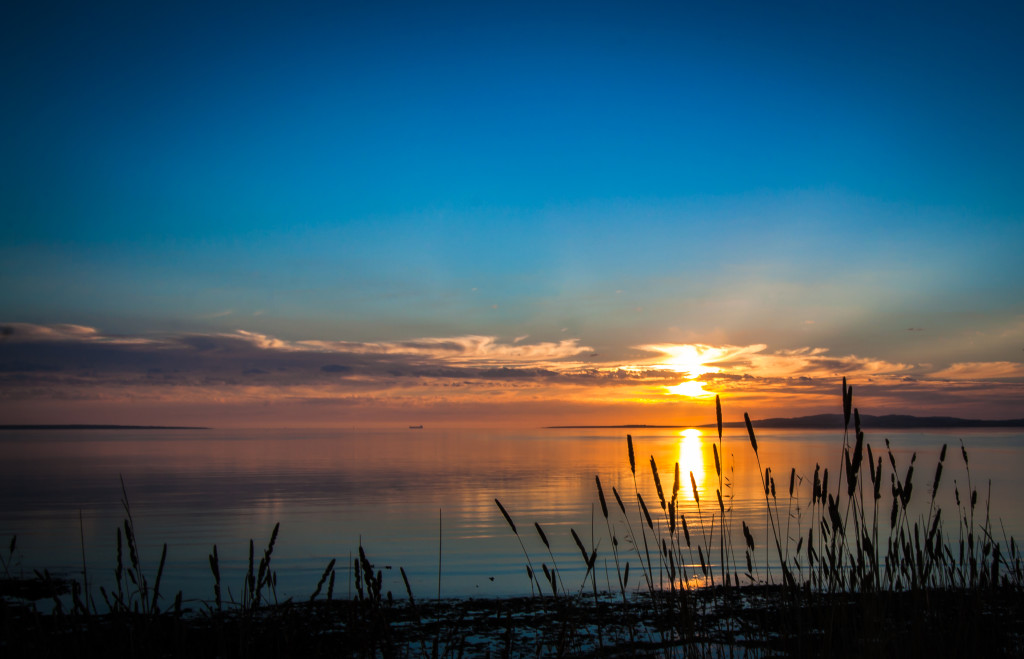 Sunset_Reeds,_North_Shore_Port_Lincoln_-_South_Australia
